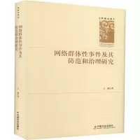 音像网络及其防范和治理研究王敏