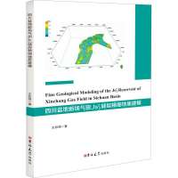音像四川盆地新场气田JS22储层精细地质建模王权锋
