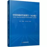 音像中国印刷业发展报告(2020版)黄晓新 编