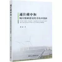 音像通往碳中和(城市低碳建设的非技术创新)蒋尉