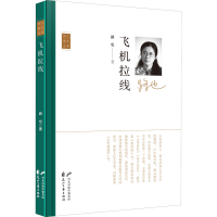 音像飞机拉线路也