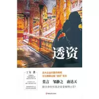音像透资丁力