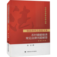音像农村婚姻继承常见法律问题解(例应用版)路正