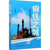 音像钢铁之城 中塞企业合作协奏曲王立新