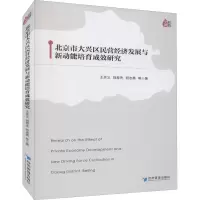 音像北京市大兴区民营经济发展与新动能培育成效研究王关义 等