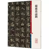 音像苏慈墓志铭作者