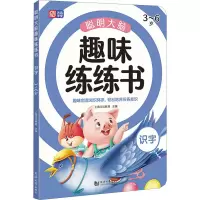 音像聪明大脑趣味练练书 识字 3~6岁上海元远教育