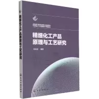 音像精细化工产品原理与工艺研究程海涛 编著