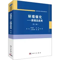 音像环境催化——原理及应用(第2版)贺泓 等
