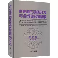 音像世界油气勘探开发与合作形势图集 俄罗斯胡永乐著