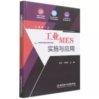 音像工业MES实施与应用朱轩 王继水 主编