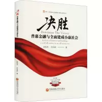 音像决胜 普惠金融与全面建成小康社会张栋浩,杜在超