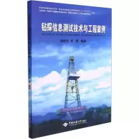 音像钻探信息测试技术与工程案例胡郁乐 张惠