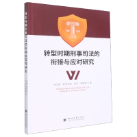 音像转型时期刑事司法的衔接与应对研究刘文涛 等