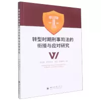音像转型时期刑事司法的衔接与应对研究刘文涛 等