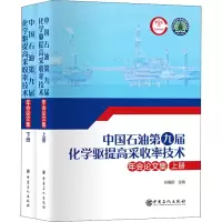 音像中国石油第九届化学驱提高采收率技术年会集(全2册)作者