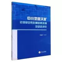 音像中小型露天矿边坡稳定影响因素挖掘及动态评价肖海平