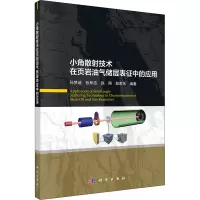 音像小角散技术在页岩油气储层表征中的应用作者