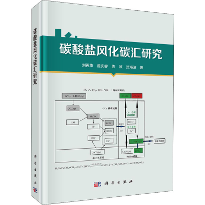 音像碳酸盐风化碳汇研究刘再华 等