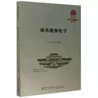 音像碳基能源化学/厦门大学南强丛书王野,傅钢