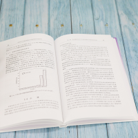 音像功能化介孔炭的制备及对铀的吸附能研究宋扬