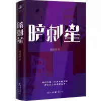 音像暗刺星嵇振颉