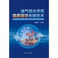 音像油气田水系统提质增效关键技术张维智 著