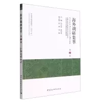 音像海外调研集萃(第2辑)/中国学者观世界邹治波,赵远良主编