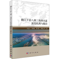 音像赣江下游入湖三角洲水道演变机理与整治白玉川 等