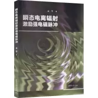 音像瞬态电离辐激励强电磁脉冲孟萃