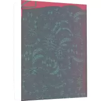 音像疯狂的老绣张书林