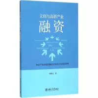音像文创与高新产业融资钟基立 著