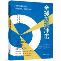 音像全球数据冲击[美]罗伯特·曼德尔