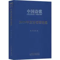 音像2019年度诗歌理论选李少君 等
