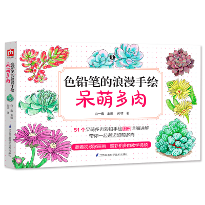音像色铅笔的浪漫手绘(呆萌多肉)孙非
