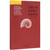音像文化产业无形资产价值评估向勇 等