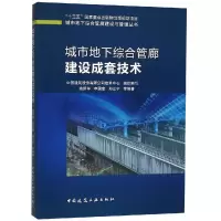 音像城市地下综合管廊建设成套技术编者:油新华//申国奎//郑立宁