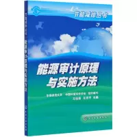 音像能源审计原理与实施方法/节能减排丛书方战强