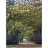 音像中国建筑艺术全集7--明代陵墓建筑/中国美术分类全集王伯扬