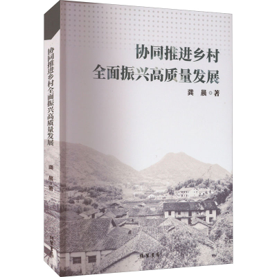 音像协同推进乡村全面振兴高质量发展龚晨
