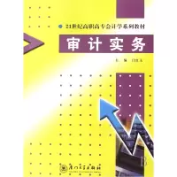音像审计实务(21世纪高职高专会计学系列教材)闫红玉 主编