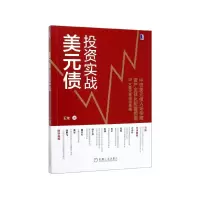 音像美元债实战王龙