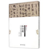 音像孙过庭书法经典鉴赏/中国历代名家书法鉴赏编者:周世闻