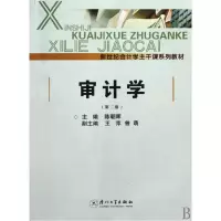 音像审计学(新世纪会计学主干课系列教材)陈朝晖