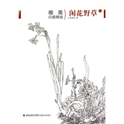 音像闲花野草(2)/唯美白描精选绘画:王来文