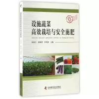 音像设施蔬菜高效栽培与安全施肥编者:张洪昌//段继贤//李星林