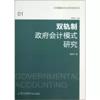 音像双轨制会计模式研究/应计制会计改革研究丛书路军伟