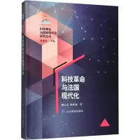 音像科技与法国现代化姚大志,孙承晟
