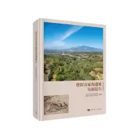 音像登封方家沟遗址发掘报告北京大学考古文博学院等