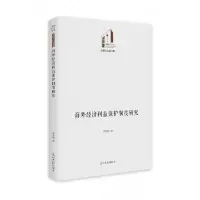 音像海外经济利益保护制度研究李秀娜